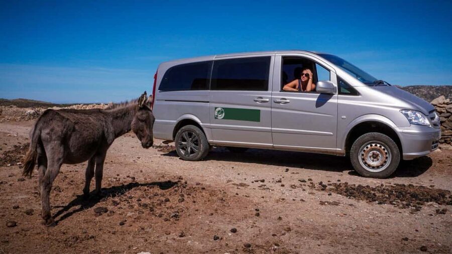 From Stintino: Asinara minivan tour - The final vehicle transfer and return ferry