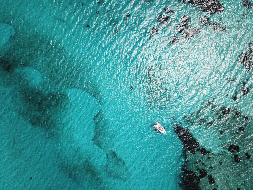 From Stintino: Half-day dinghy tour in Asinara Gulf - Morning or afternoon?
