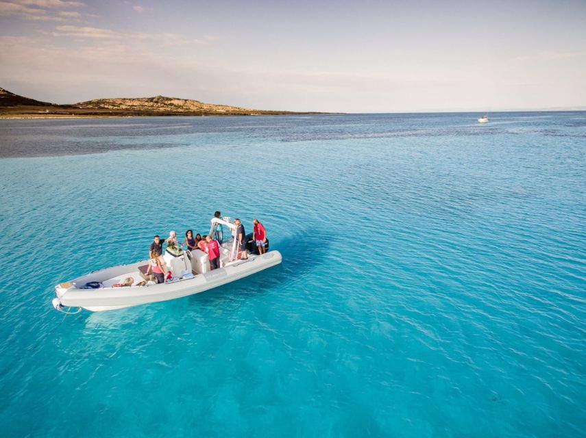 From Stintino: Half-day dinghy tour in Asinara Gulf - Cala Grande, Scanna Capretti, and the smaller coves