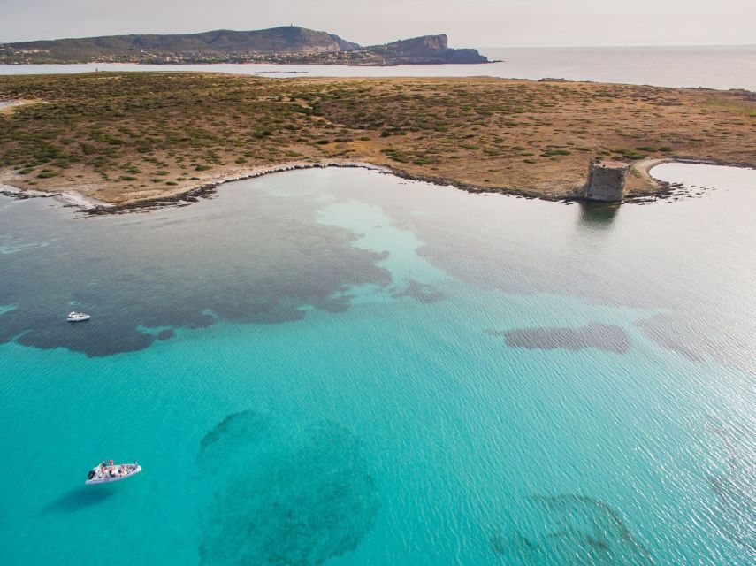 From Stintino: Half-day dinghy tour in Asinara Gulf - La Pelosa and the Tower from the sea