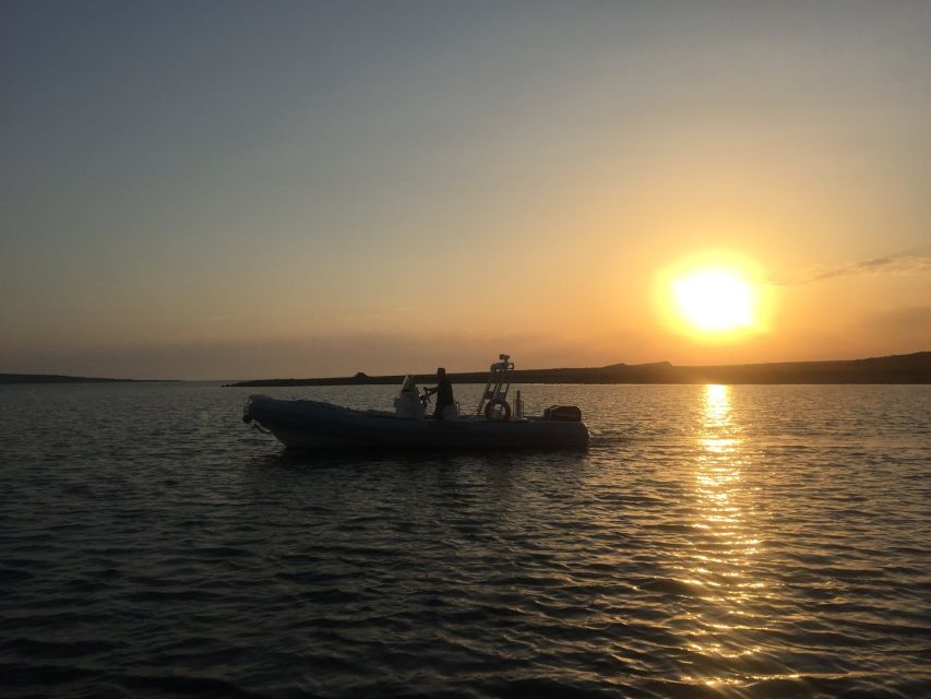 From Stintino: Half-day dinghy tour in Asinara Gulf - Capo Falcone, Roccia Forata, and Porri Island