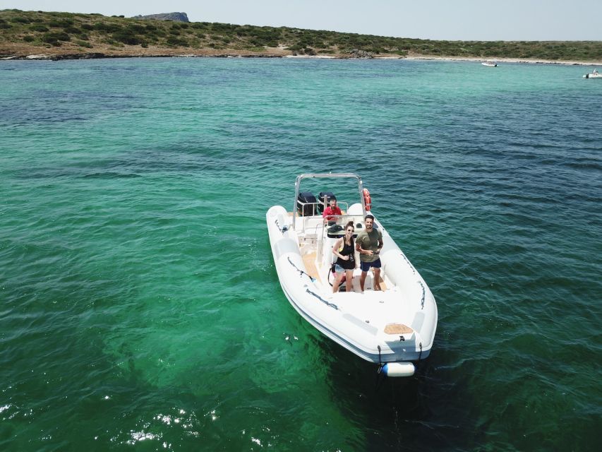 From Stintino: Half-day dinghy tour in Asinara Gulf - What the guide adds to a simple swim trip