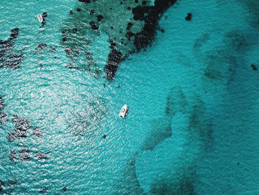 From Stintino: Half-day dinghy tour in Asinara Gulf - Is $56 a fair price?