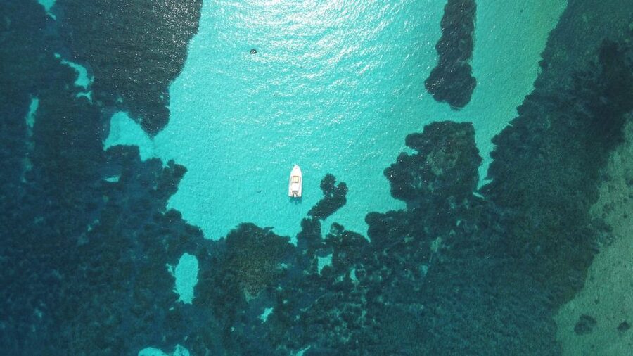 From Stintino: Half-day dinghy tour in Asinara Gulf - The route changes with the wind