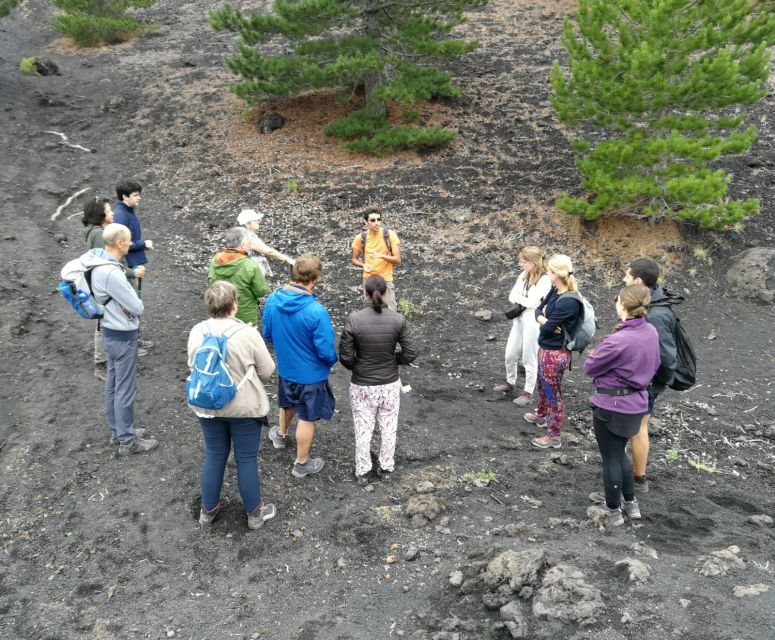 From Taormina: Full-Day Etna, Wine & Alcantara Canyons Tour - Walking Etna among craters and black ash