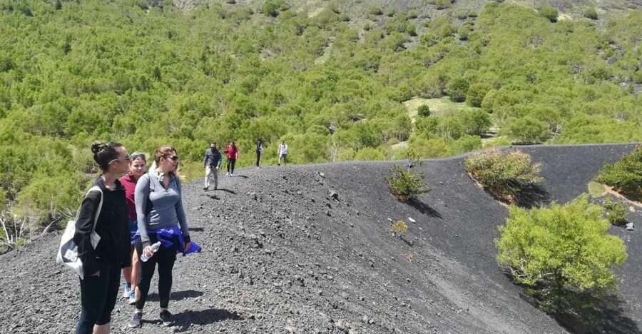 From Taormina: Half-Day Mount Etna Morning Trek - Key points to know before booking