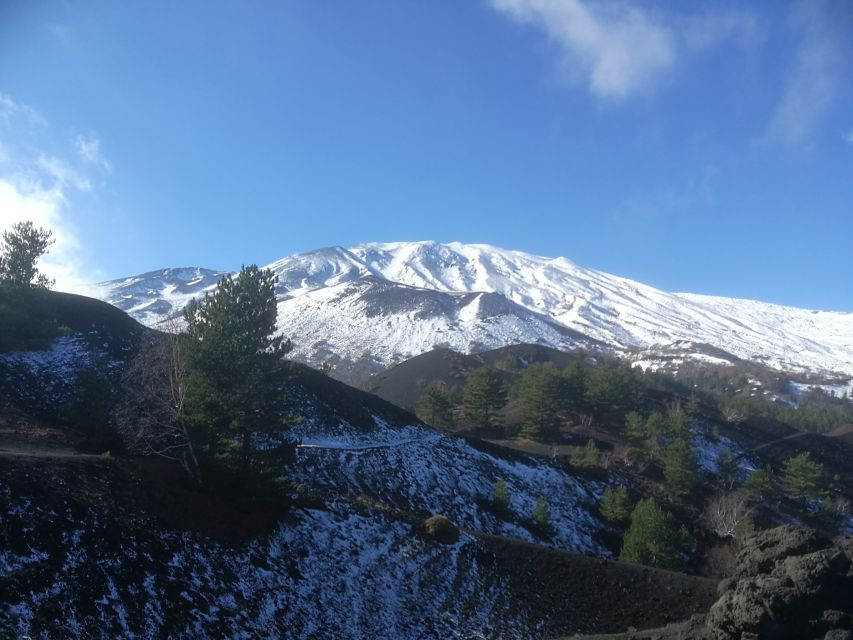 From Taormina: Half-Day Mount Etna Morning Trek - A winery lunch with Etna wine