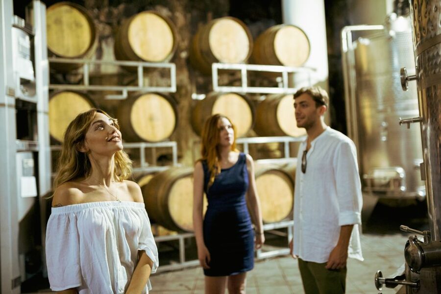 From Taormina: Mount Etna Food and Wine Tasting Tour - Is the $168.79 price fair?