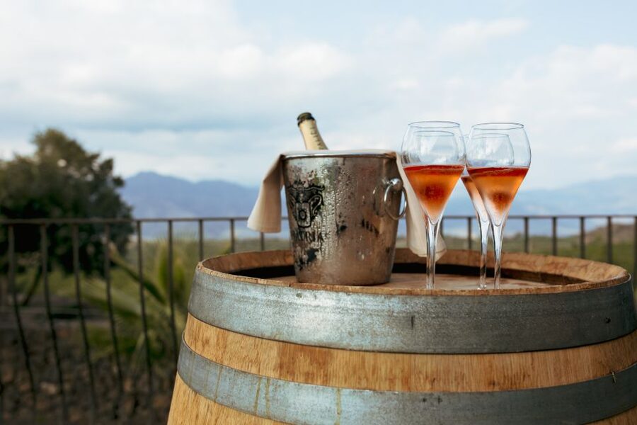 From Taormina: Mount Etna Food and Wine Tasting Tour - The final call