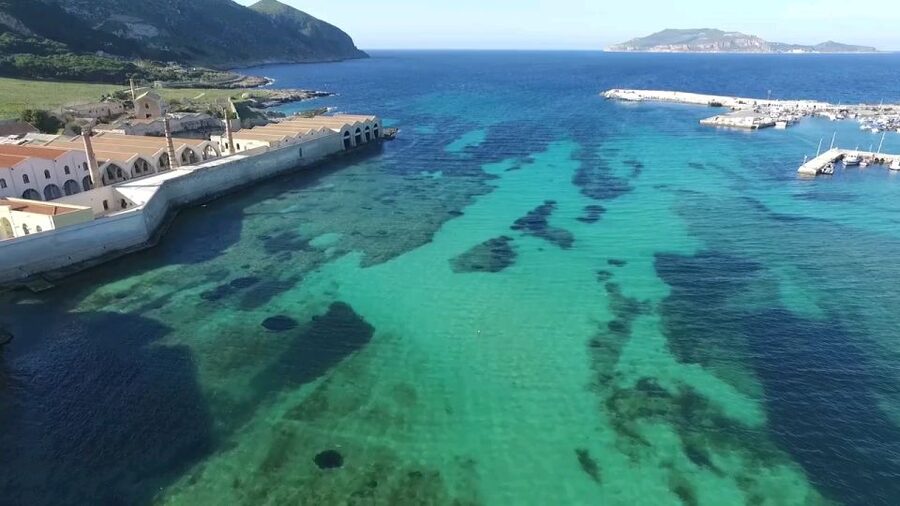 From Trapani: Day Cruise to Favignana & Levanzo with Lunch - Key points to know before you book