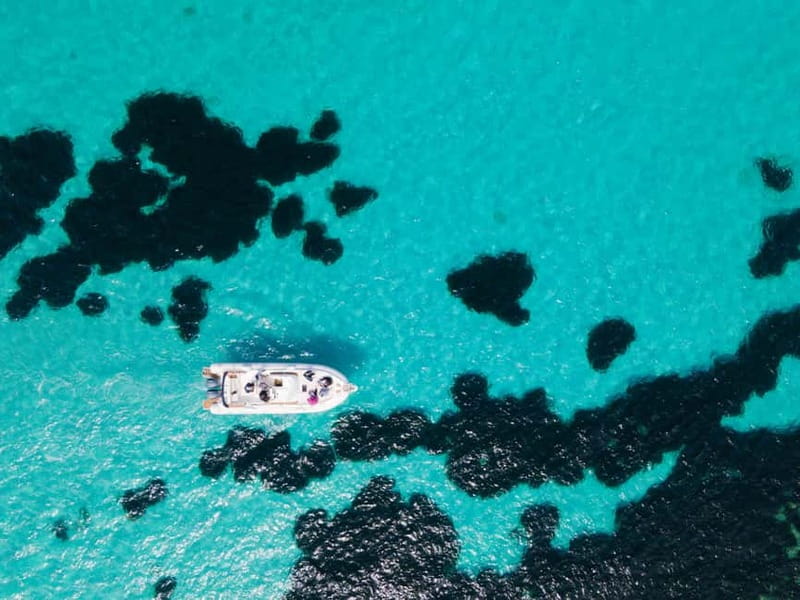 From Trapani: Egadi Islands Favignana & Levanzo Cruise - Cala Azzurra: an easy first swim