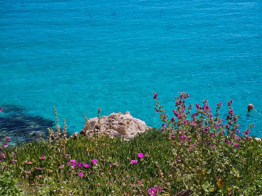 From Trapani: Favignana and Levanzo Shuttle Tour - Meeting at Trapani’s Marinella quay