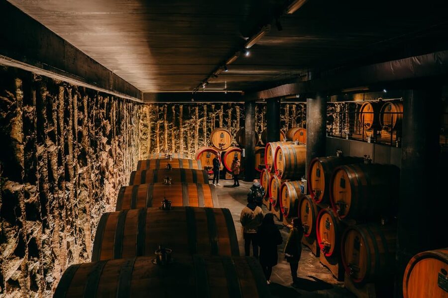 From Verona: Valpolicella and Amarone Wine Tasting Tour - Key points to know before booking