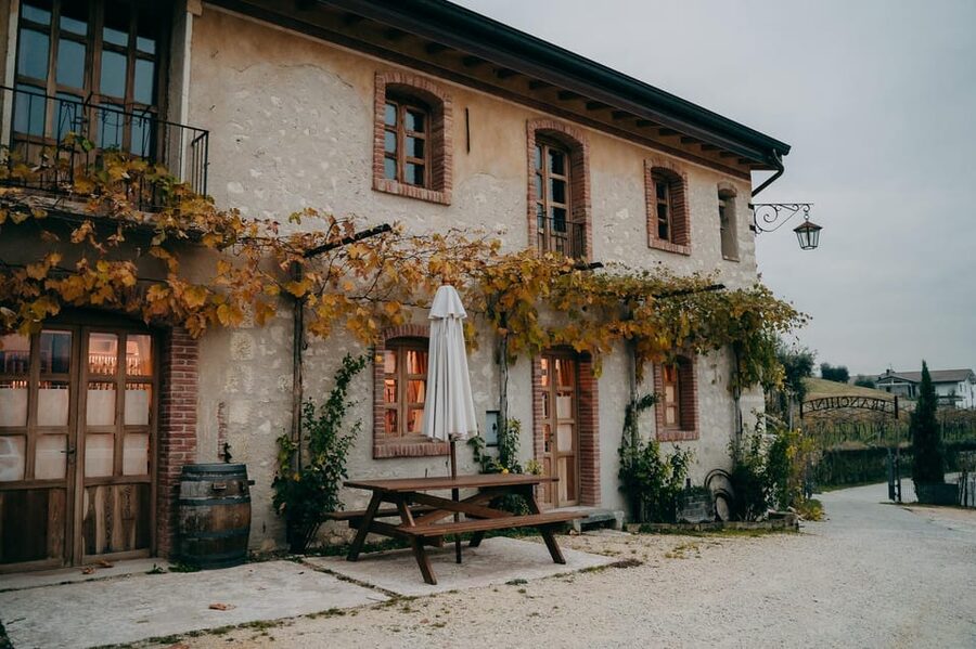 From Verona: Valpolicella and Amarone Wine Tasting Tour - Amarone and Ripasso, the useful wine lesson