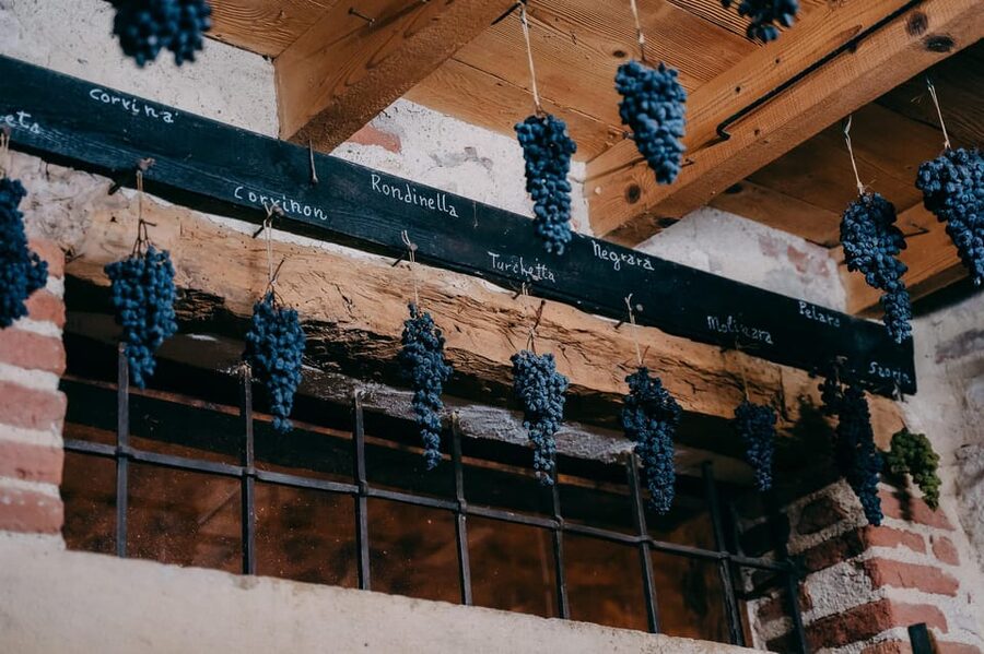 From Verona: Valpolicella and Amarone Wine Tasting Tour - What the four-hour schedule feels like