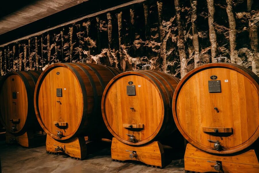 From Verona: Valpolicella and Amarone Wine Tasting Tour - The first winery, a full introduction to Amarone