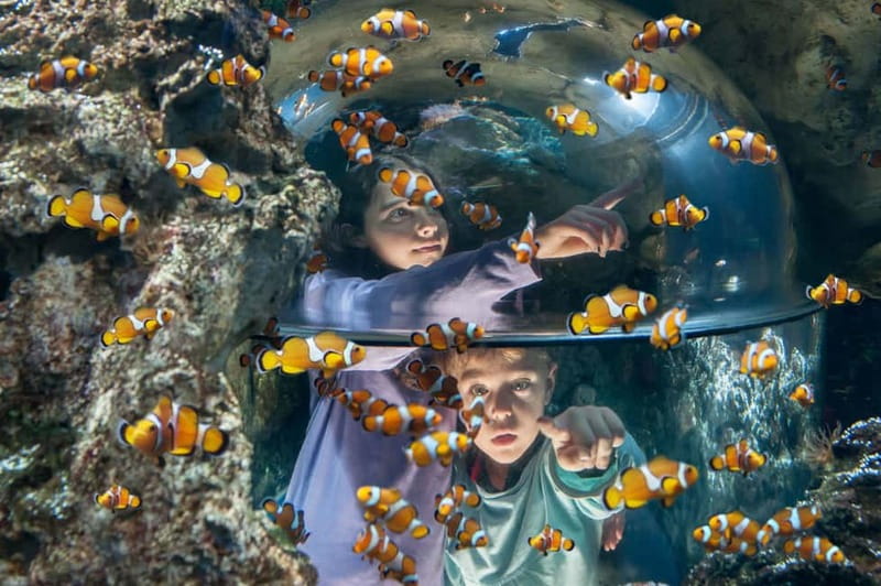 Gardaland SEA LIFE Aquarium: Open Date Entry Ticket - Key points to know before you go