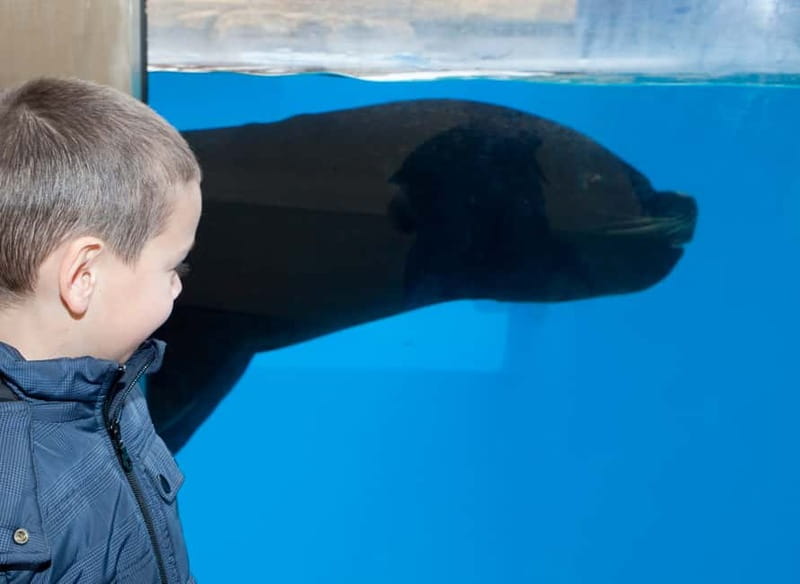 Gardaland SEA LIFE Aquarium: Open Date Entry Ticket - What your visit to Gardaland SEA LIFE Aquarium feels like