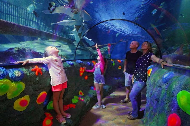 Gardaland SEA LIFE Aquarium: Open Date Entry Ticket - The Oceanic Tank and the transparent tunnel