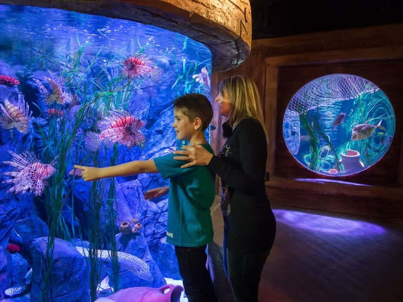 Gardaland SEA LIFE Aquarium: Open Date Entry Ticket - Food, breaks, and the outdoor area