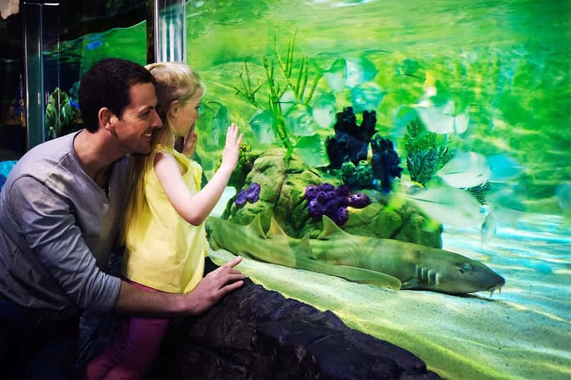 Gardaland SEA LIFE Aquarium: Open Date Entry Ticket - Is the ticket good value?