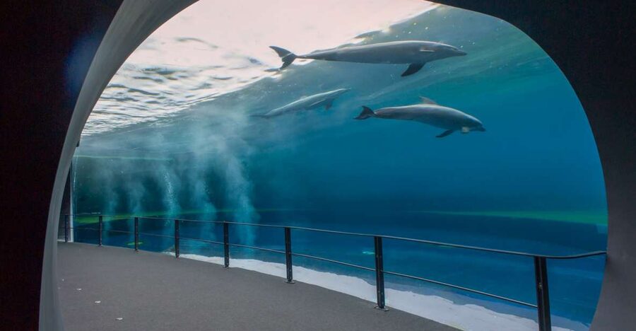 Genoa: Aquarium and FantaCinema Combined Ticket - Key points at a glance