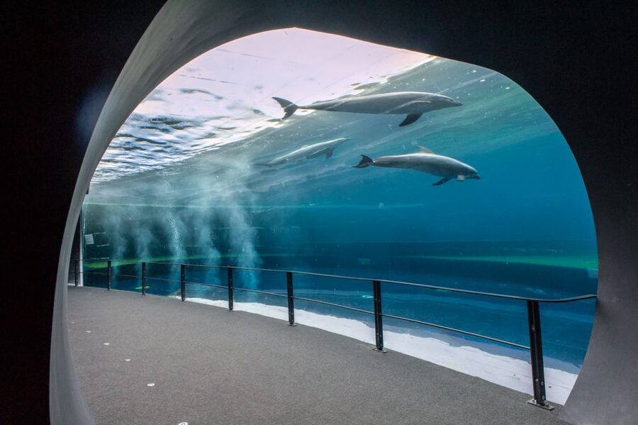 Genoa: Aquarium & Christopher Columbus' House Entry Tickets - Key points to know before you book