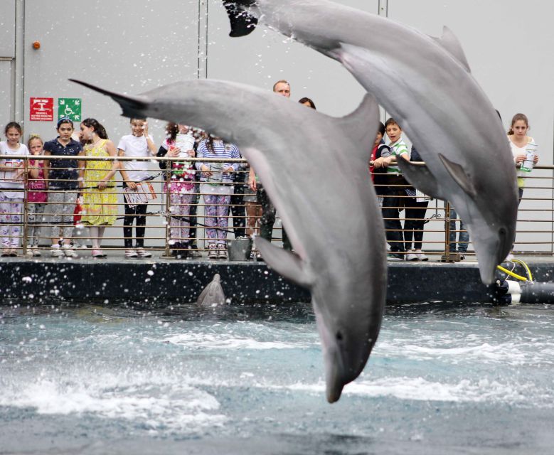 Genoa: Aquarium, Galata Museum and Submarine Entry Tickets - Should you book the Genoa sea attractions ticket?