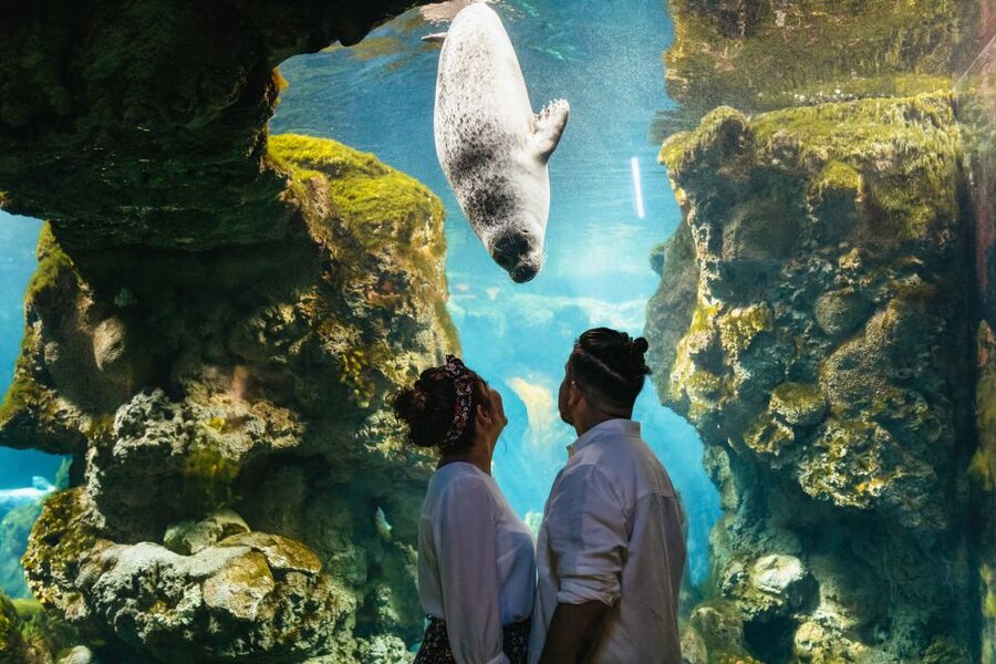Genoa: Aquarium of Genoa Entry Ticket - How long should you stay?