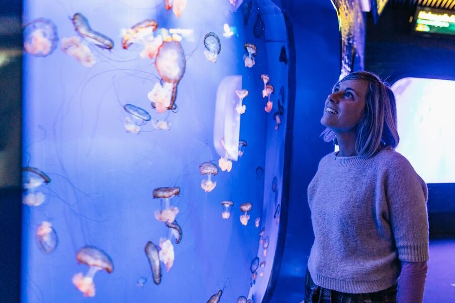 Genoa: Aquarium of Genoa with Lunch - Taking the lunch at Tender Café