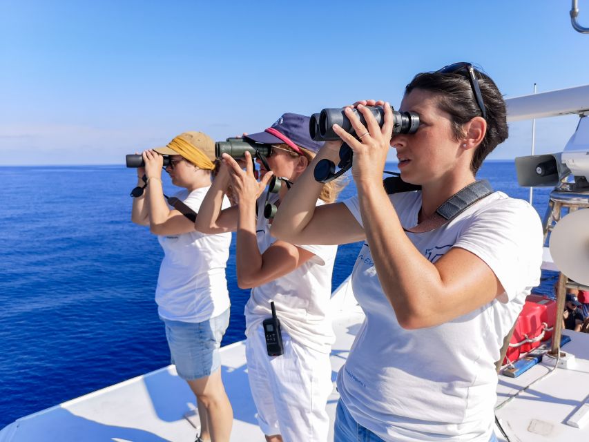 Genoa: Cetacean Watching Cruise with Marine Biologist Guide - What the first briefing adds