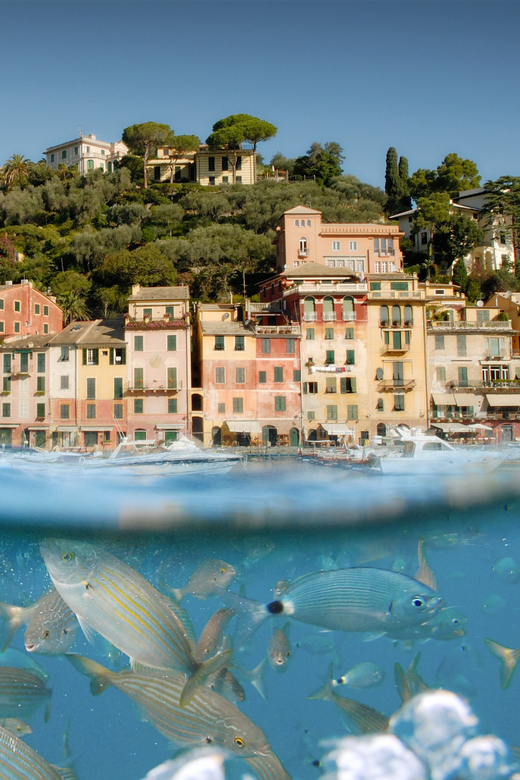 Genoa: Half-Day Tour to Portofino - Camogli, San Fruttuoso Bay, and the promontory
