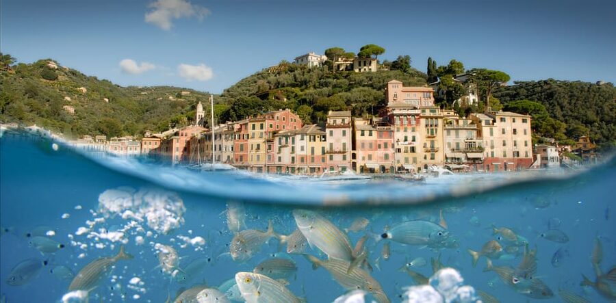 Genoa: Half-Day Tour to Portofino - Who should book this trip?