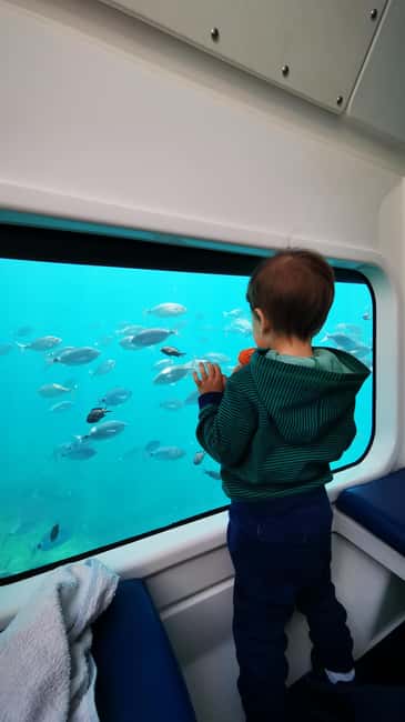 Giardini Naxos: Semi-Submarine Tour to Isola Bella - Booking Details That Matter