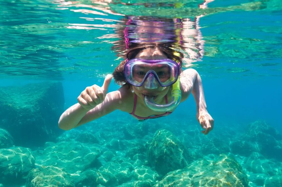 Golfo Aranci: Dolphin Watching and Snorkeling Boat Tour - What the Boat Ride Feels Like