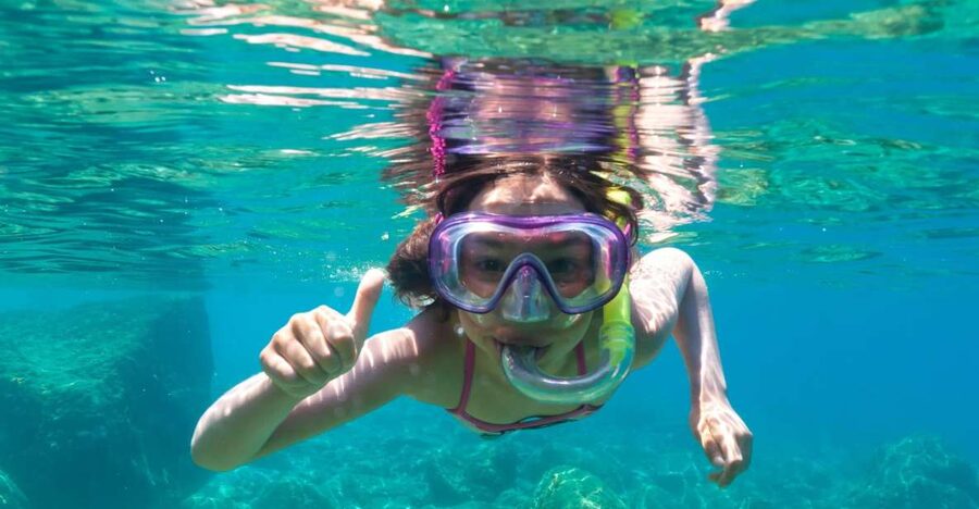 Golfo Aranci: Dolphin Watching and Snorkeling Boat Tour - The Dolphin-Watching Rules Matter