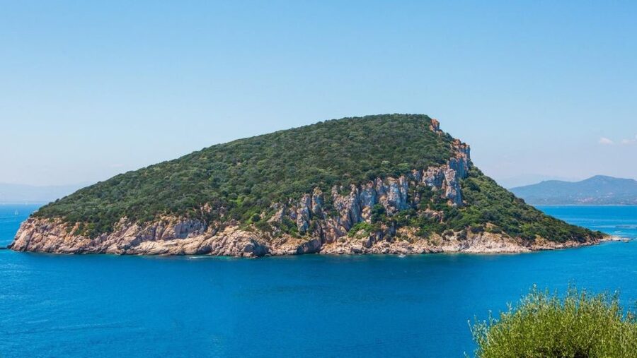 Golfo Aranci: Dolphin Watching and Snorkeling Boat Tour - Snorkeling at Cala Greca, Cala Moresca, and Figarolo