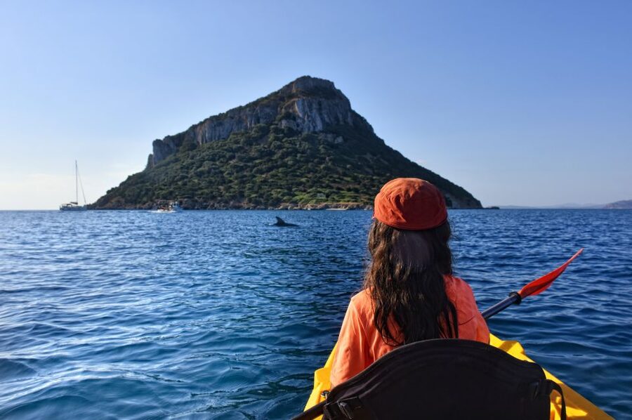 Golfo Aranci: Kayak Tour with Dolphins and Aperitif - Why this Golfo Aranci kayak trip is worth your time