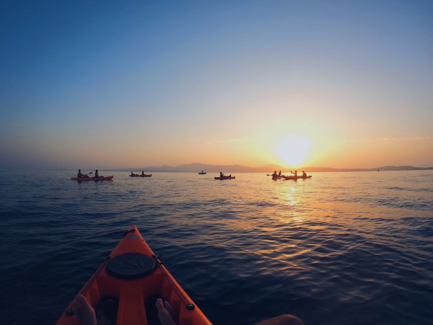 Golfo Aranci: Kayak Tour with Dolphins and Aperitif - Who should book this experience
