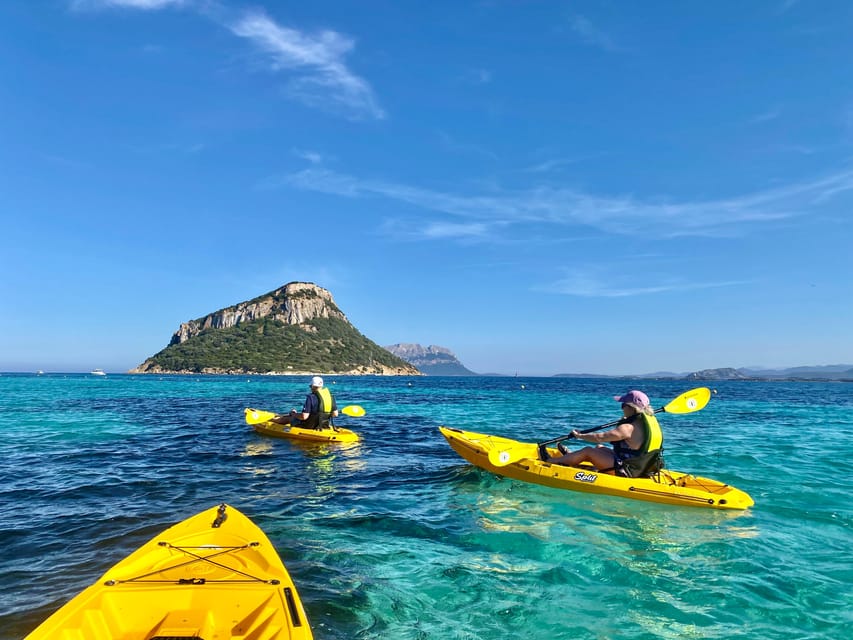 Golfo Aranci: Small group Kayak tour with Aperitif &dolphins - Who will enjoy it most