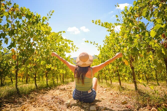 Half day Chianti Vineyard Escape from Florence with Wine Tastings - Following the Chianti Road into the hills