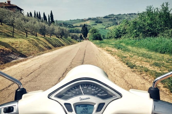 Half day Chianti Vineyard Escape from Florence with Wine Tastings - Inside the cellars and among the vines