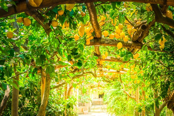 Hands-On Cooking Class & Farmhouse Tour on the Amalfi Coast - Who will enjoy it most?