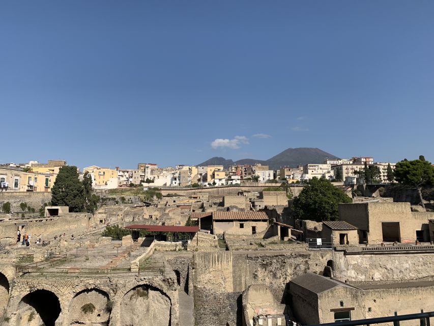 Herculaneum: Tickets & Tour with a Local Archaeologist - What the $58 price includes