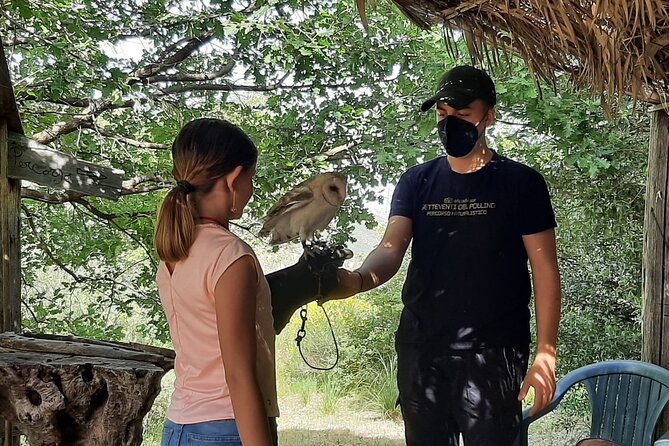 Interactive Educational Course on Birds of Prey - Why Abel the golden eagle matters