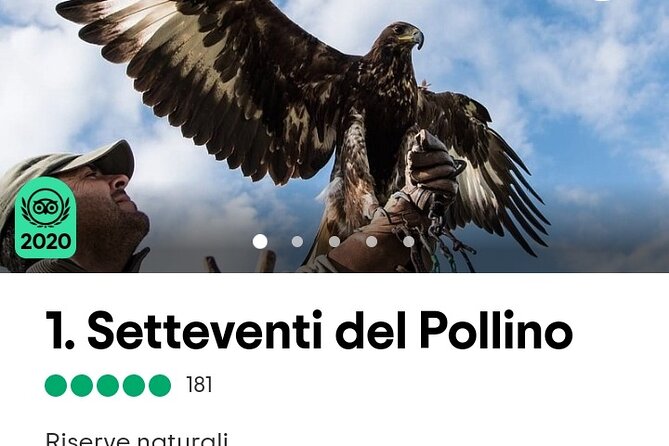 Interactive Educational Course on Birds of Prey - A quiet setting, with one arrival problem