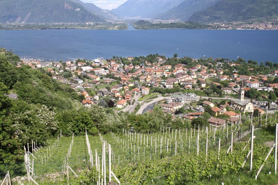 Lake Como: Winery Tour with Wine Tasting - Reaching Azienda Agricola Sorsasso in Domaso
