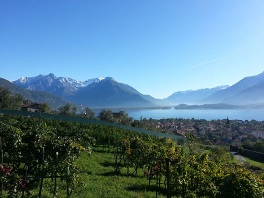 Lake Como: Winery Tour with Wine Tasting - Silvia and the family hosting style