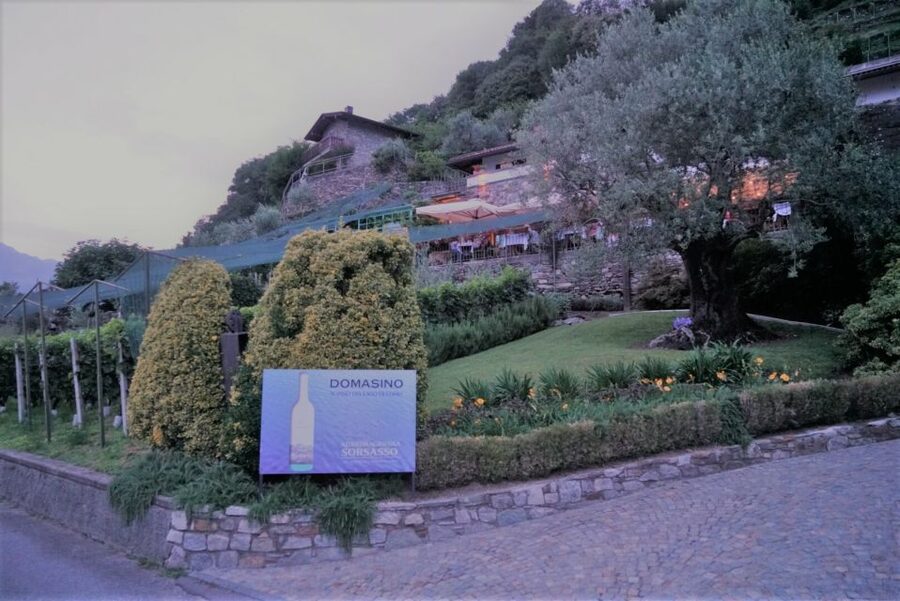 Lake Como: Winery Tour with Wine Tasting - Timing your visit around Lake Como transport