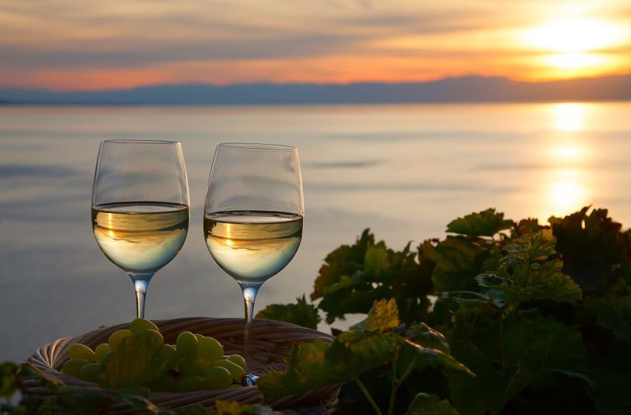 Lake Como: Winery Tour with Wine Tasting - Should you book the Sorsasso winery visit?